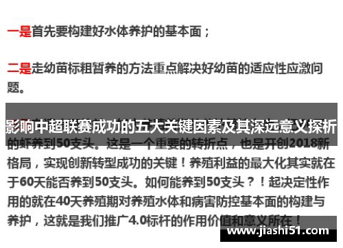 影响中超联赛成功的五大关键因素及其深远意义探析