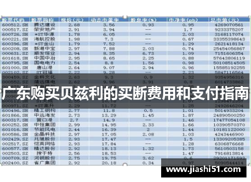 广东购买贝兹利的买断费用和支付指南